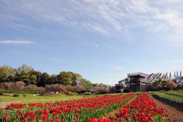 木原城山公園