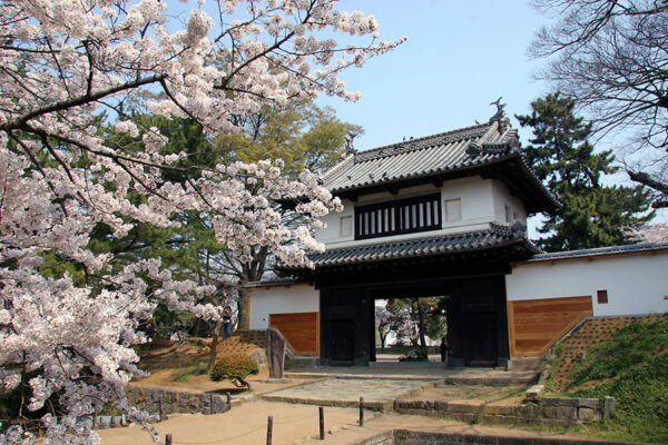 亀城公園(土浦城址)