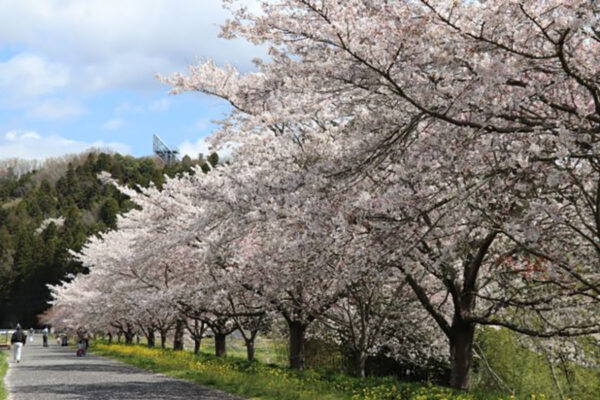 辰ノ口親水公園