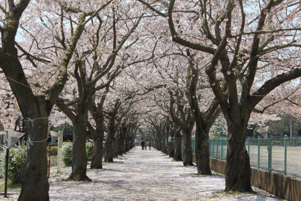 阿漕ヶ浦公園