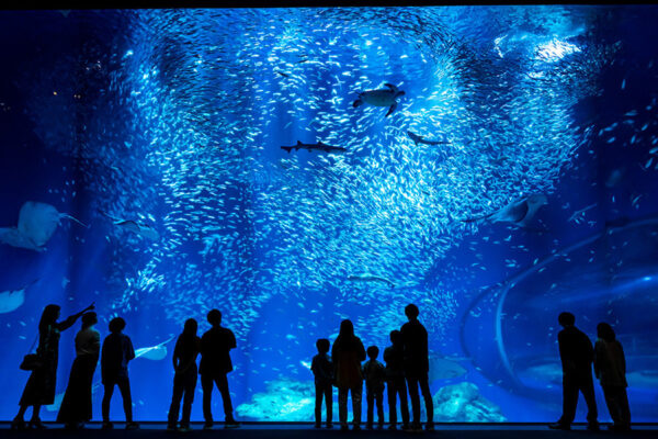 アクアワールド茨城県大洗水族館