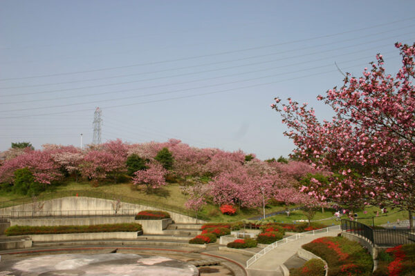 静峰ふるさと公園