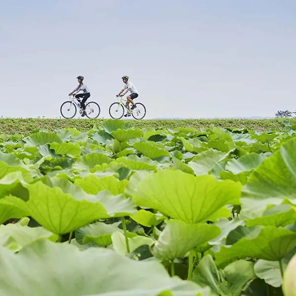 『茨城の算額』筑波書林 ロードバイクで茨城サイクリング - 豪鬼メモ