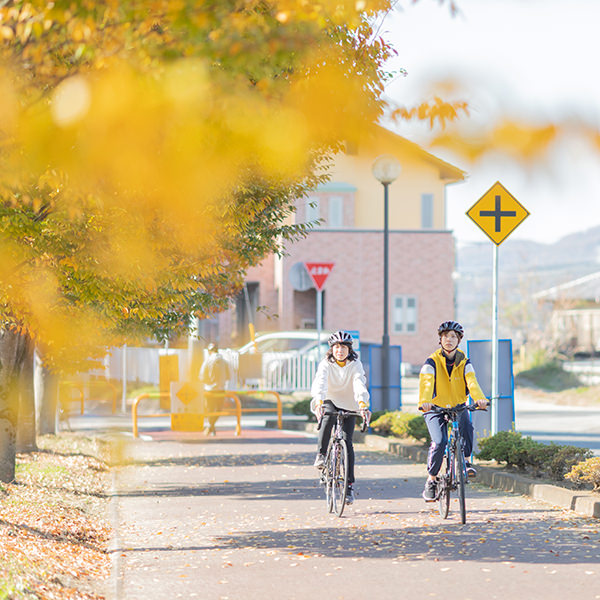 サイクリングいばらき – つくば霞ヶ浦りんりんロードなど茨城県の