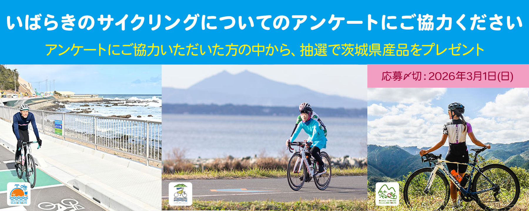 サイクリングいばらきアンケート
